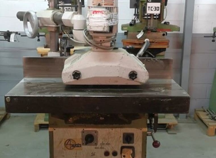 ANETO Spindle moulder with feeder