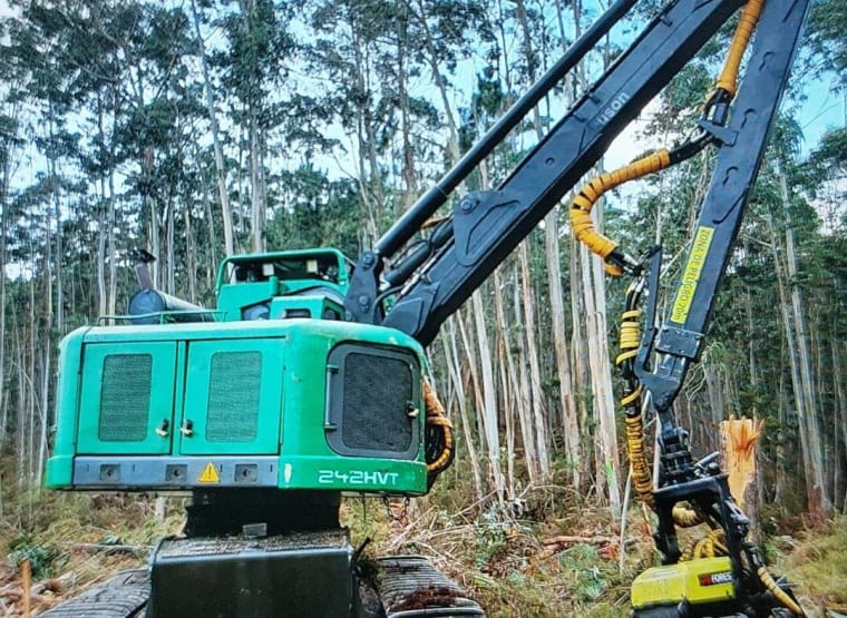 WACKER NEUSON FOREST 243 HVT Tracked Harvester